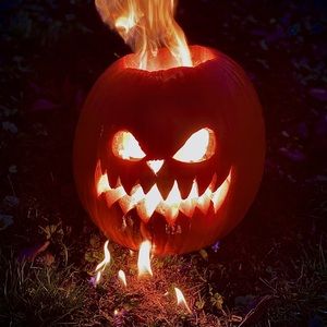 Meet your Posher, Johnny